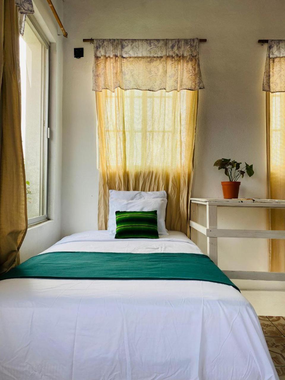 Hotel Casa Mima Flores Exteriér fotografie