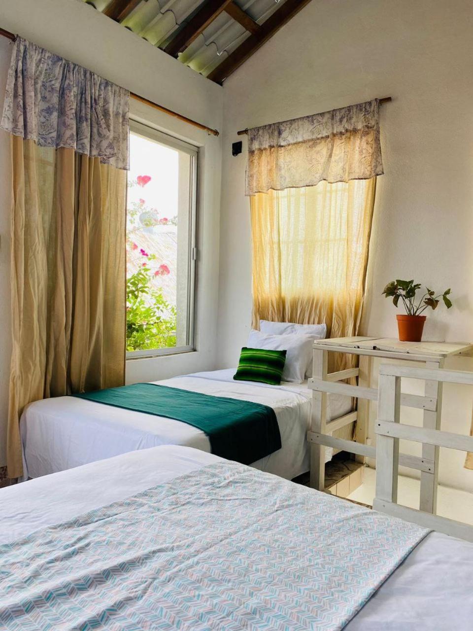 Hotel Casa Mima Flores Exteriér fotografie